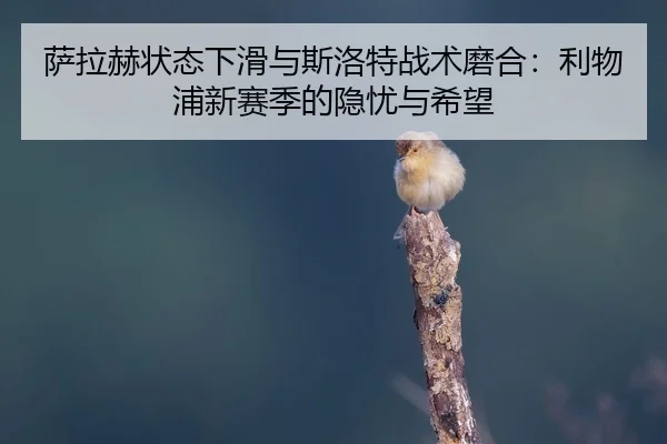sa-la-he-zhuang-tai-xia-hua-yu-si-luo-te-zhan-shu-mo-he-li-wu-pu-xin-sai-ji-de-yin-you-yu-xi-wang-2-504.jpg