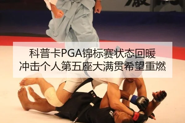 ke-pu-ka-jin-biao-sai-zhuang-tai-hui-nuan-chong-ji-ge-ren-di-wu-zuo-da-man-guan-xi-wang-zhong-ran-3-671.jpg