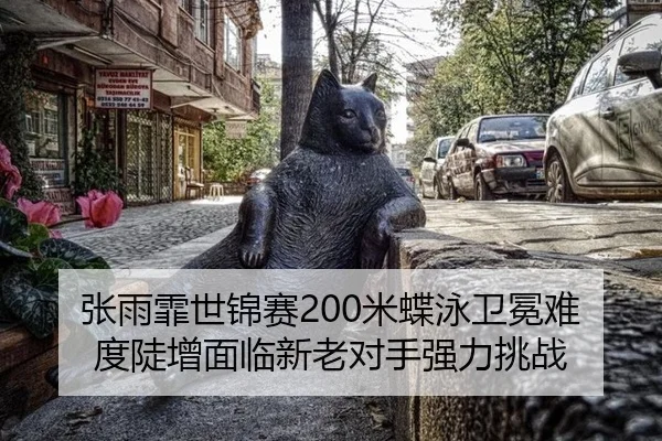 张雨霏世锦赛200米蝶泳卫冕难度陡增面临新老对手强力挑战